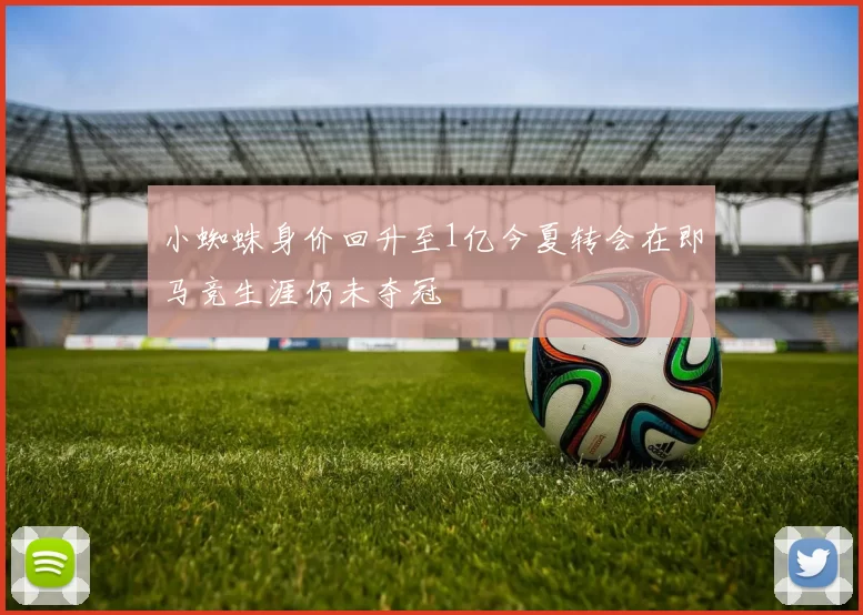 小蜘蛛身价回升至1亿今夏转会在即马竞生涯仍未夺冠