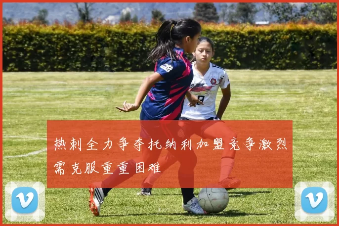 热刺全力争夺托纳利加盟竞争激烈需克服重重困难